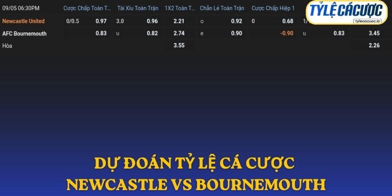 Soi kèo nhà cái Newcastle United vs Bournemouth – dự đoán từ chuyên gia