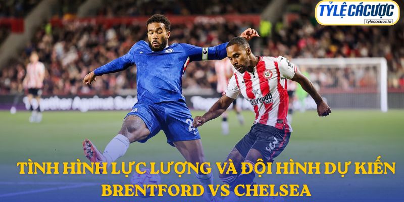 Thông tin đội hình dự kiến Brentford vs Chelsea