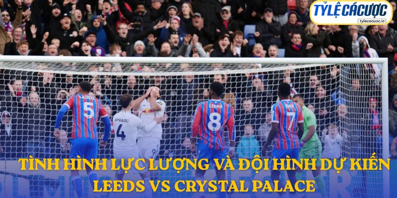 Thông tin đội hình dự kiến Leeds vs Crystal Palace